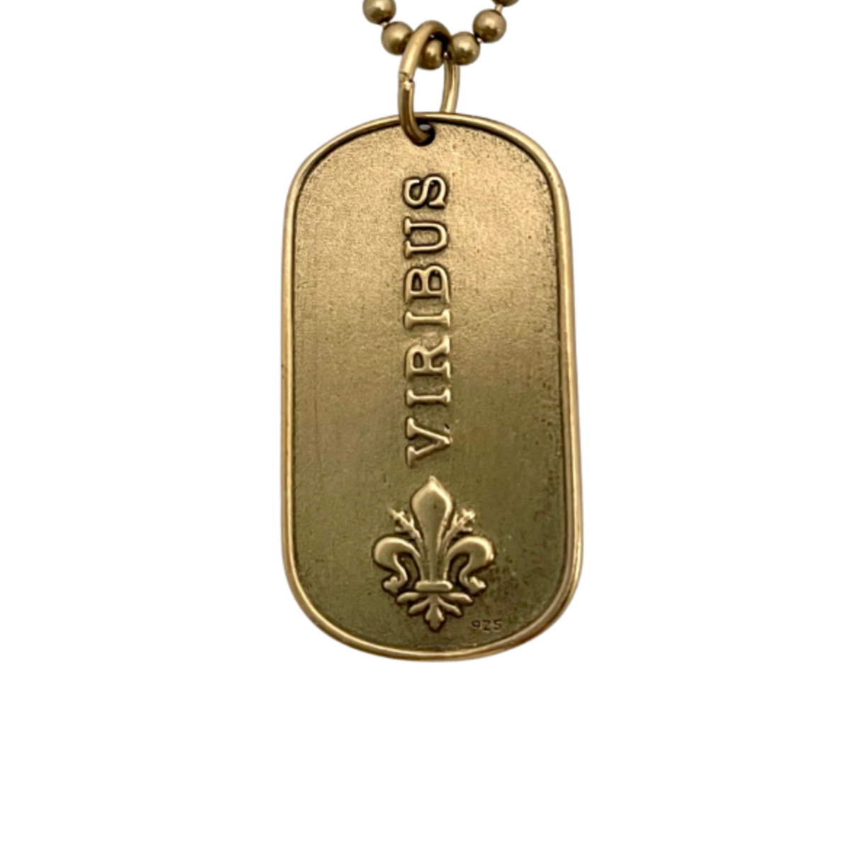 Lion Mini Dog Tag Charm