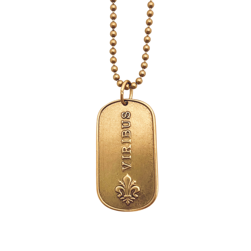 Lion Mini Dog Tag Necklace