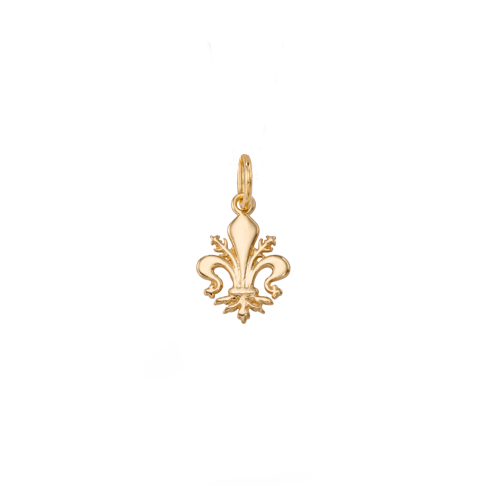 Fleur De Lis Charm