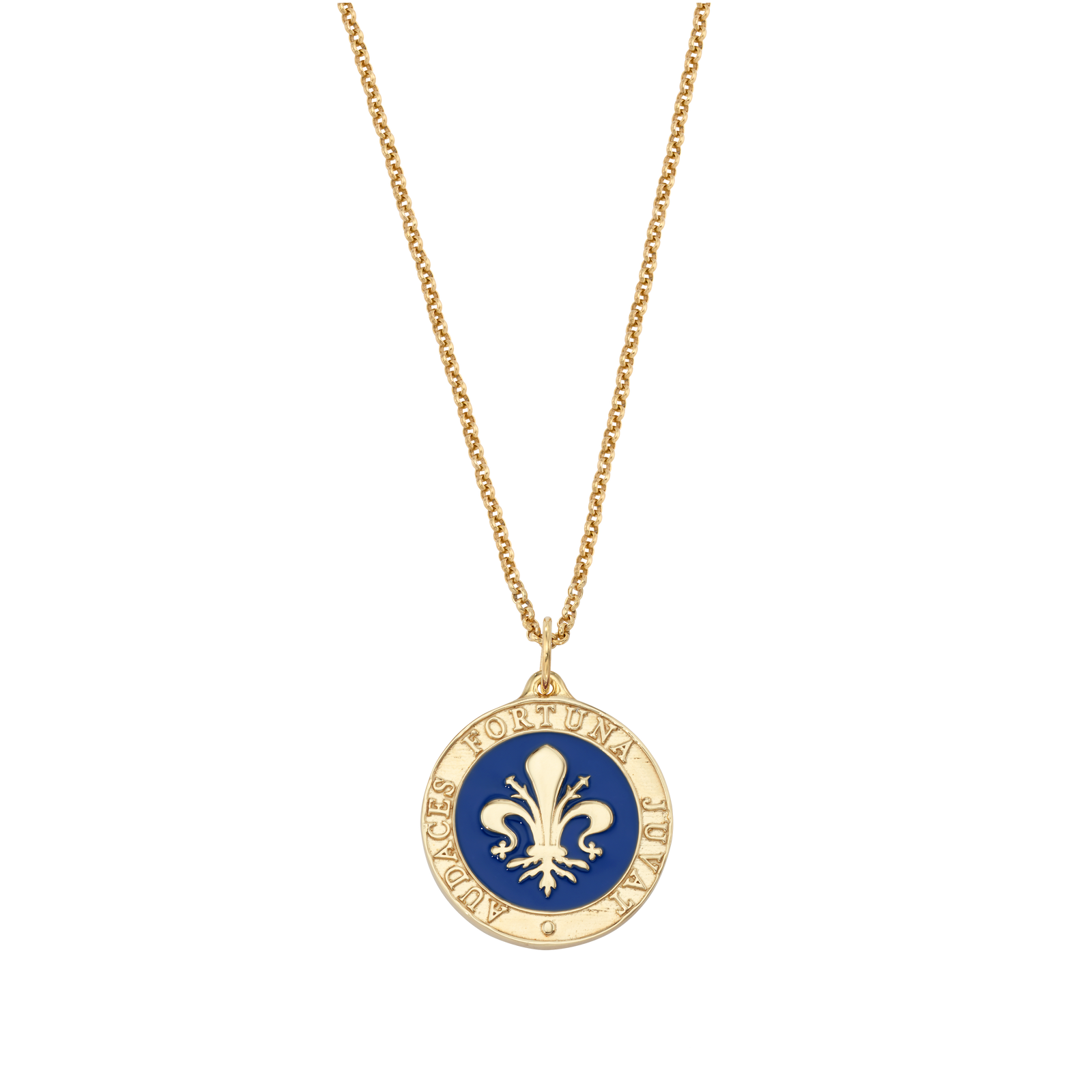 Florence Enamel Medallion Necklace