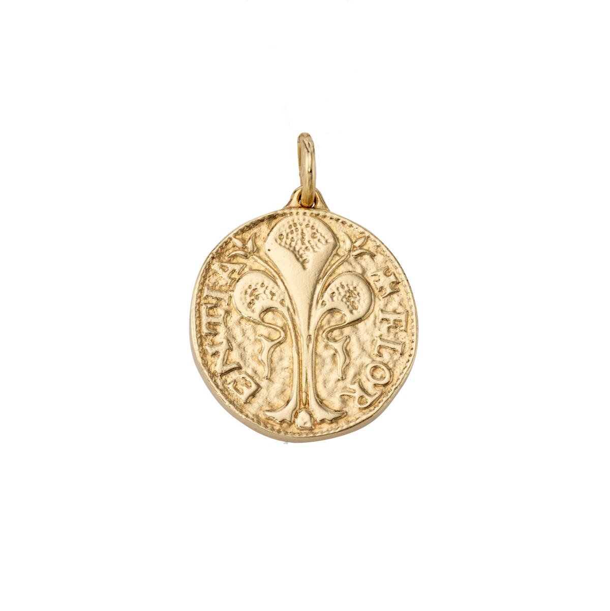 Florin Coin Charm - Large
