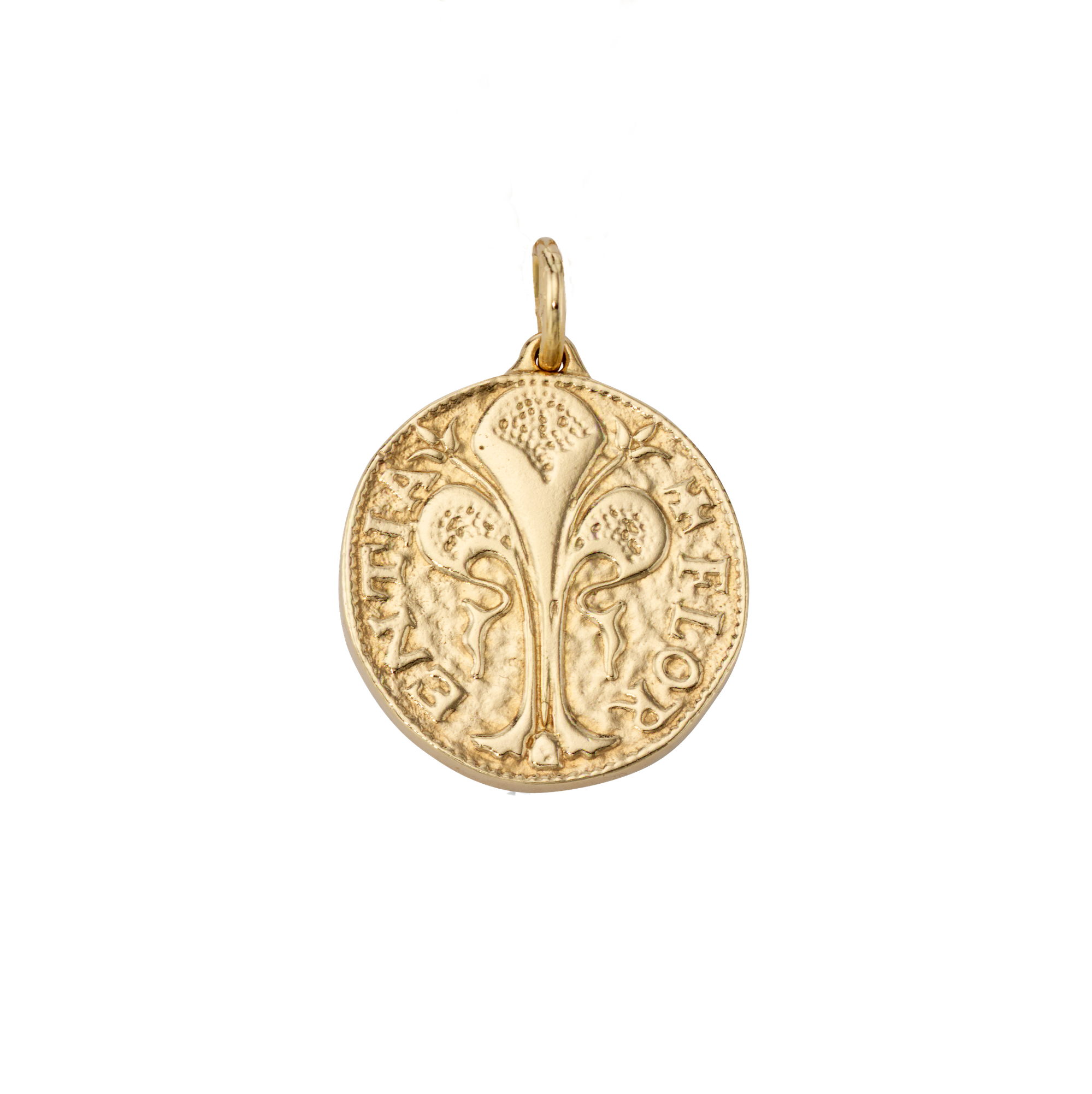 Florin Coin Charm - Large