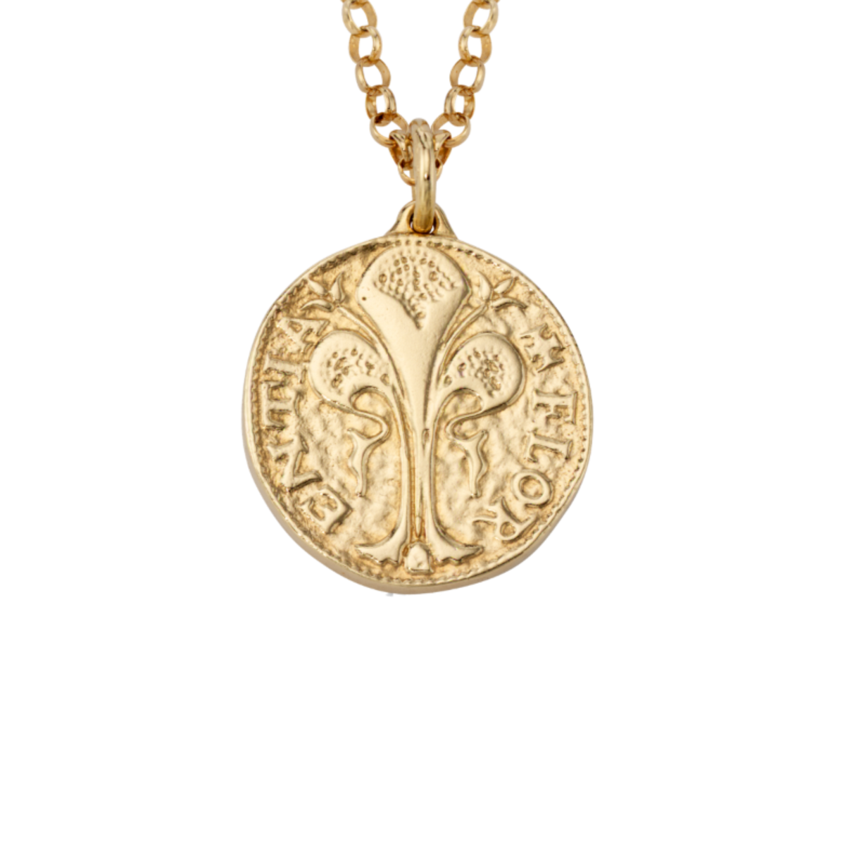 Florin Coin Charm - Large