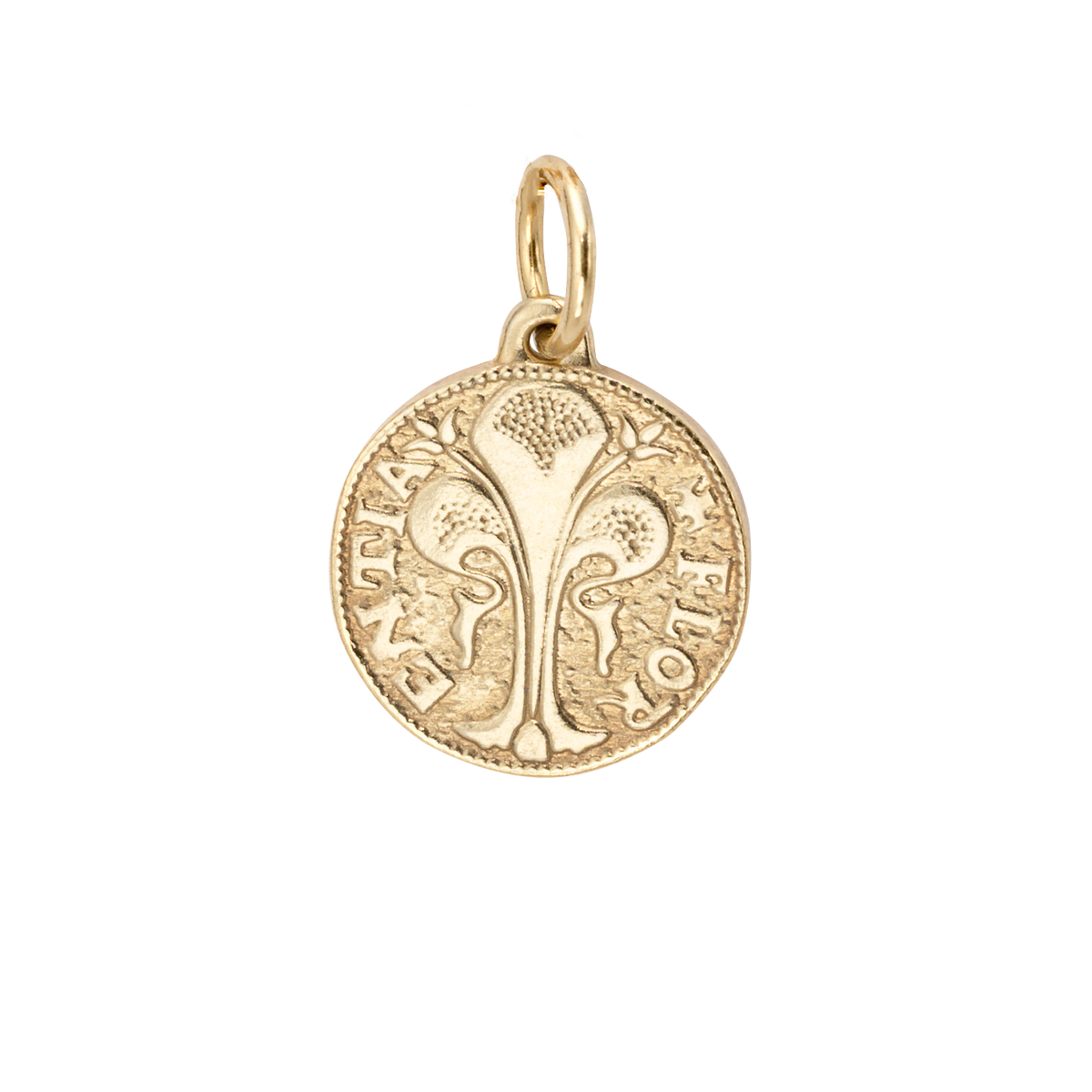 Florin Coin  Charm - Small