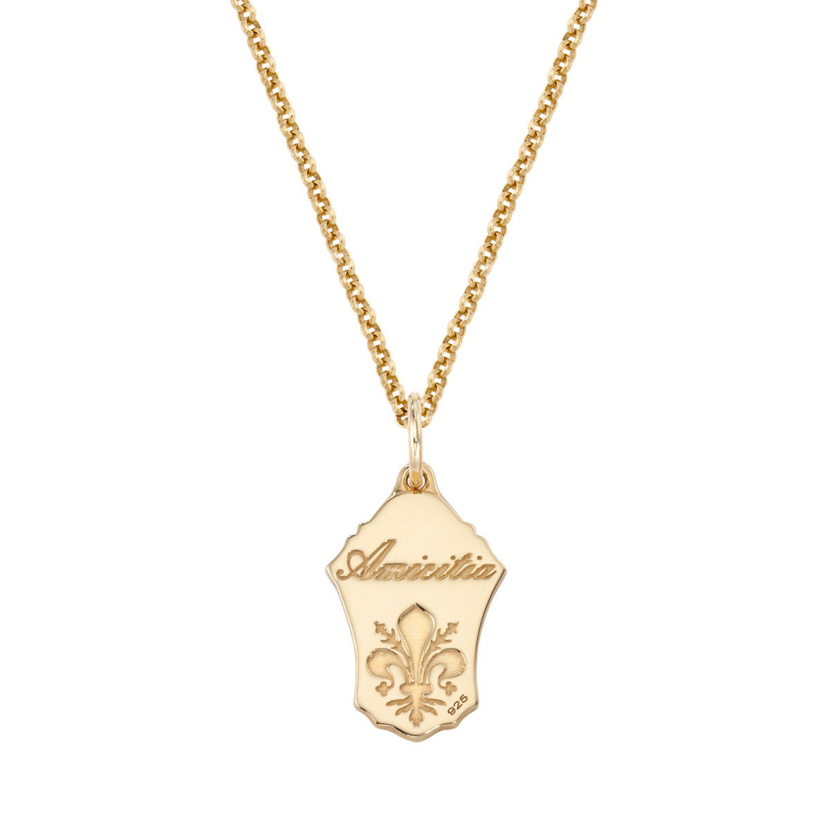 Friendship Enamel Shield Necklace