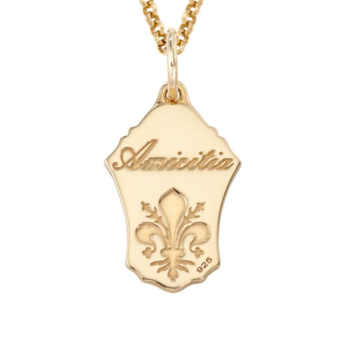 Friendship Enamel Shield Charm