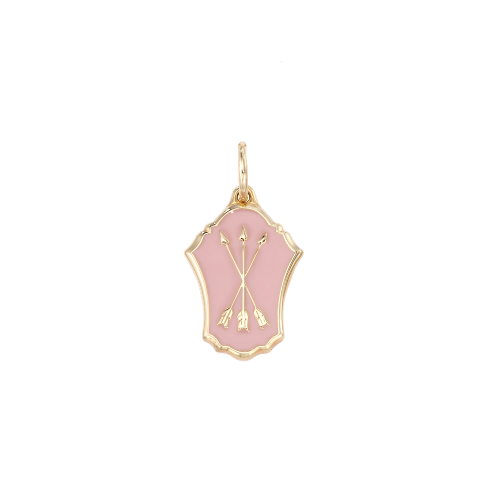 Friendship Enamel Shield Charm