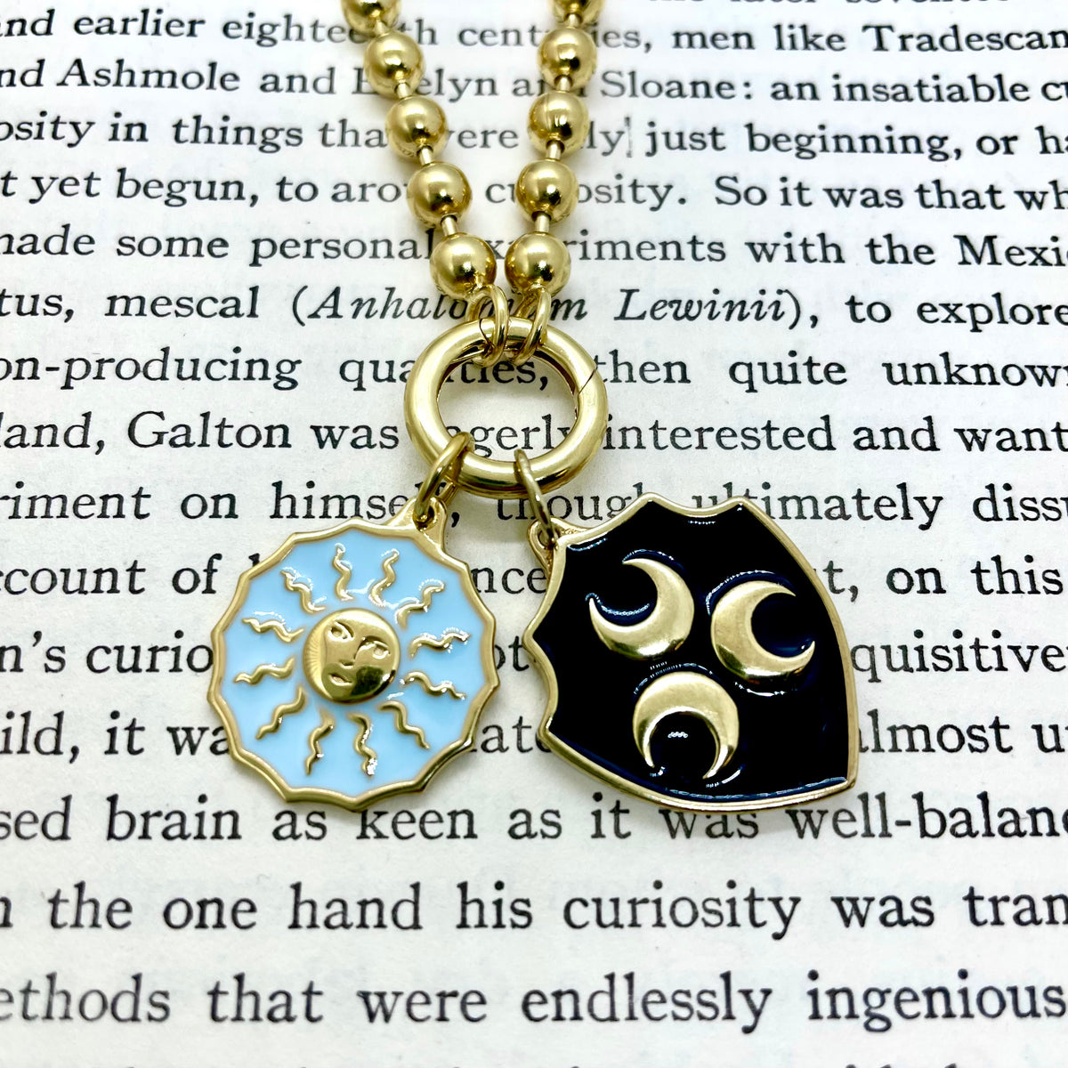 Strozzi Enamel Shield Necklace