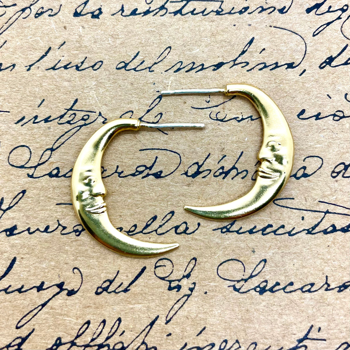 Crescent Moon Hoop Earrings