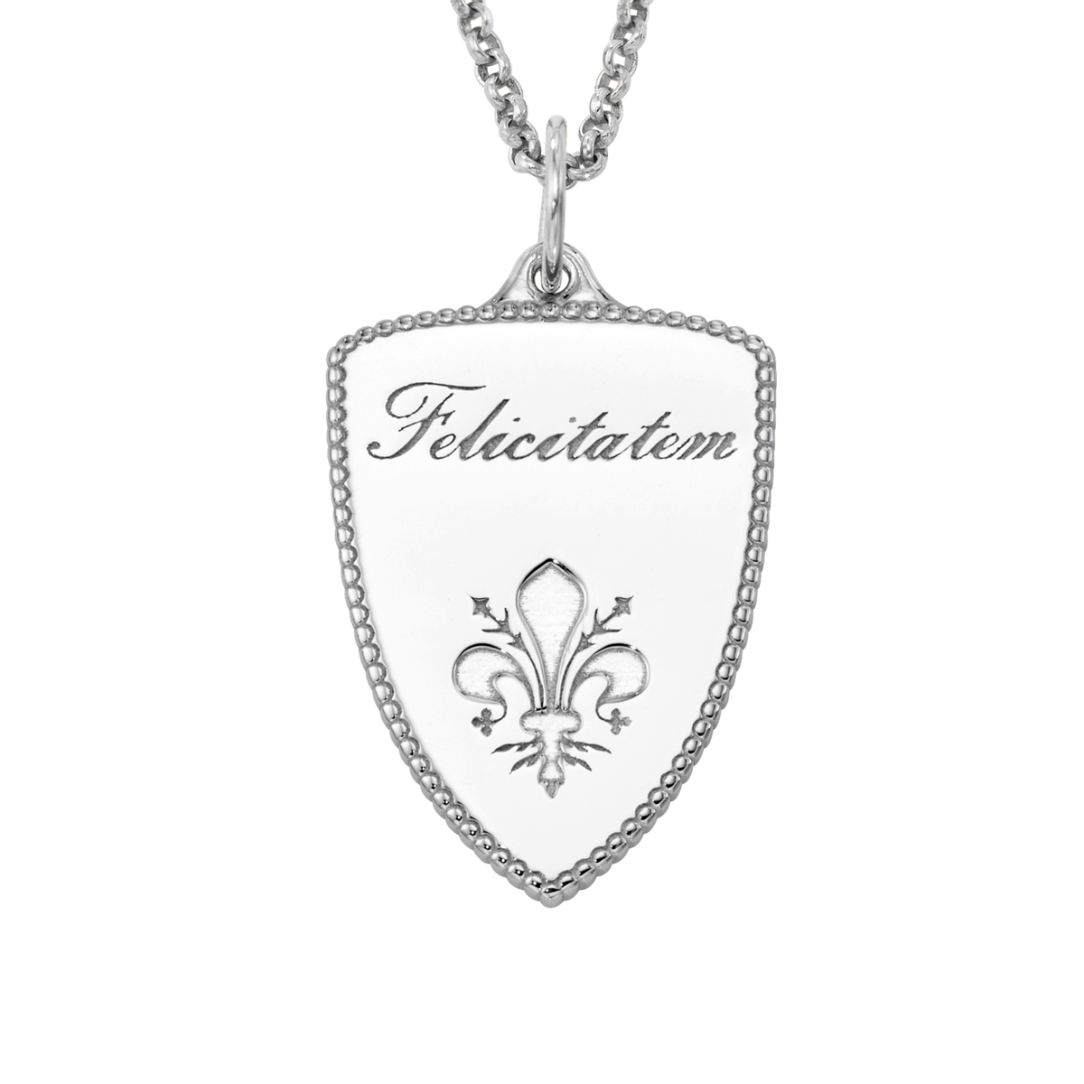 Medici Enamel Shield Charm