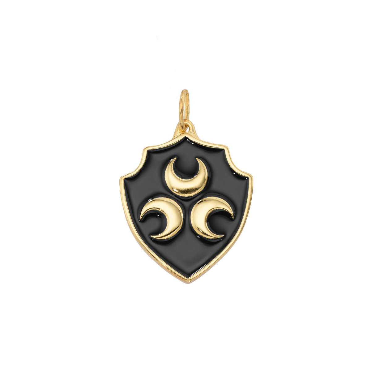 Strozzi Enamel Shield Charm