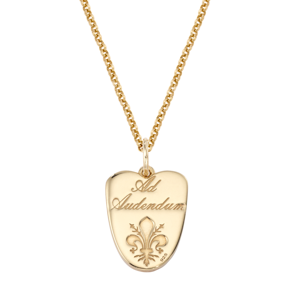 Angel Wing Enamel Shield Necklace