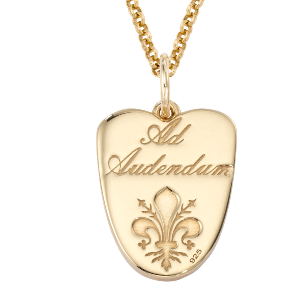 Angel Wing Enamel Shield Charm